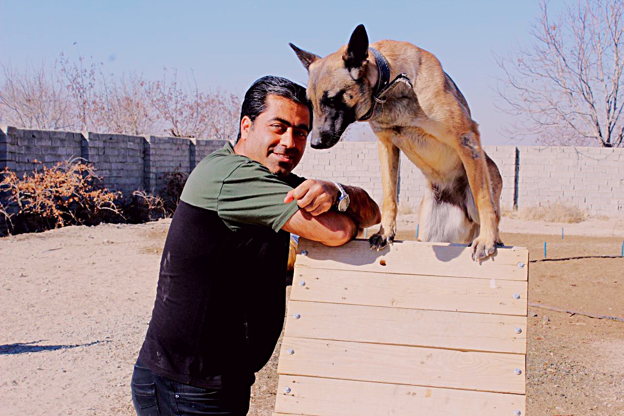 مدرسه سگ