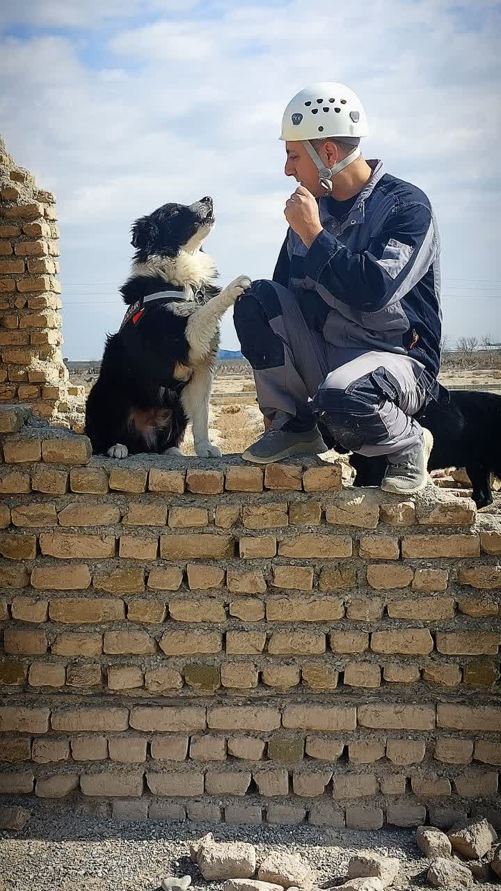 <p>مربی تخصصی </p>