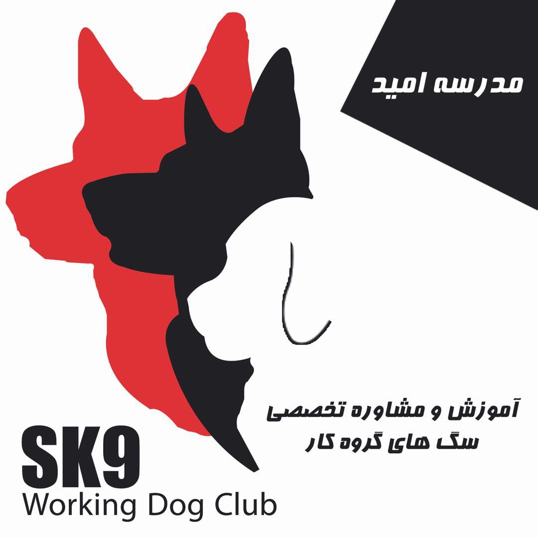 Footer Logo